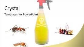  Presentation with sprayer - Presentation theme featuring agricultural pest - plastic sprayer with insecticide background and a white colored foreground