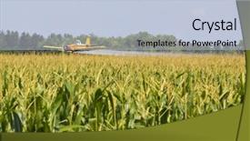 Presentation with crops - Cool new PPT theme with agricultural plane dusts crops backdrop and a lemonade colored foreground