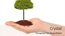  Presentation with white birch tree - Slide set consisting of agricultural security - hand and tree isolated background and a coral colored foreground