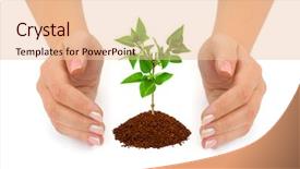  Presentation with plant - PPT layouts with agricultural security - hands and plant isolated background and a lemonade colored foreground