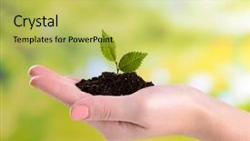  Presentation with life cycle plant - Amazing slide deck having agricultural security - plant in hand on bright backdrop and a yellow colored foreground