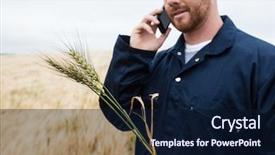  Presentation with crops - Audience pleasing presentation consisting of agricultural wireless - farmer examining crops while talking backdrop and a wine colored foreground