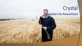  Presentation with crops - PPT theme consisting of agricultural wireless - farmer examining crops while talking background and a sky blue colored foreground