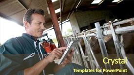  Presentation with using digital tablet - Beautiful slide deck featuring agricultural wireless - farmer in barn using digital backdrop and a tawny brown colored foreground
