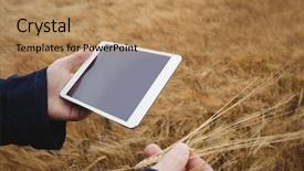  Presentation with digital farm - Presentation theme consisting of agricultural wireless - farmer using digital tablet while background and a coral colored foreground