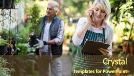  Presentation with phone - PPT theme featuring agricultural wireless - female gardener talking on mobile background and a tawny brown colored foreground