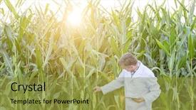  Presentation with digital farm - Amazing PPT layouts having agricultural wireless - scientist with digital tablet examining backdrop and a gold colored foreground