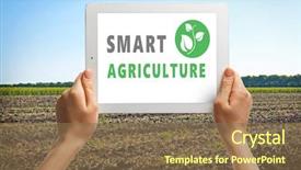  Presentation with smart agriculture - Slide set having agricultural wireless - woman with tablet and field background and a violet colored foreground