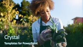  Presentation with agriculture african - Beautiful slide set featuring agriculture - african american female gardener inspecting backdrop and a tawny brown colored foreground
