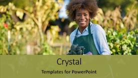  Presentation with agriculture african - Colorful presentation enhanced with agriculture - african american woman holding freshly backdrop and a gold colored foreground