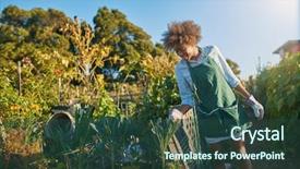  Presentation with community garden - Colorful slides enhanced with agriculture - african american woman tending backdrop and a tawny brown colored foreground