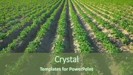  Presentation with agriculture field - Cool new slides with agriculture - agricultural field backdrop and a tawny brown colored foreground