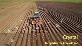  Presentation with birds flying - Theme enhanced with agriculture - agricultural work on a tractor background and a tawny brown colored foreground