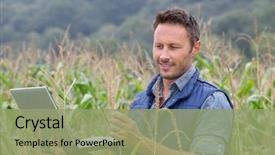  Presentation with agronomist - Presentation with agriculture - agronomist analyzing cereals with laptop background and a seafoam green colored foreground