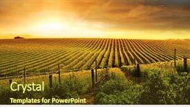  Presentation with vineyard - Colorful presentation enhanced with agriculture - beautiful sunset over a barossa backdrop and a tawny brown colored foreground
