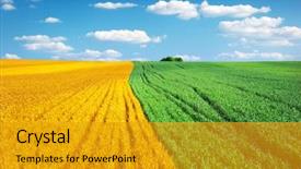  Presentation with meadow - PPT layouts consisting of agriculture - big colorful meadow nature conception background and a gold colored foreground