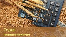  Presentation with grains - Amazing PPT layouts having agriculture - dollar banknotes calculator and wheat backdrop and a red colored foreground