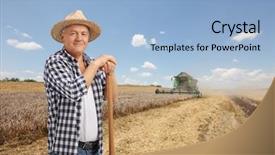  Presentation with agriculture field - Audience pleasing PPT theme consisting of agriculture - elderly farmer on a wheat backdrop and a light blue colored foreground
