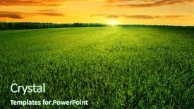  Presentation with agriculture field - Theme enhanced with agriculture - field of green grass background and a tawny brown colored foreground