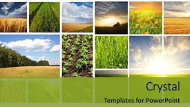  Presentation with agriculture - PPT layouts having agriculture - fields collage background and a gold colored foreground