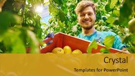  Presentation with future of work - Colorful slides enhanced with agriculture - friendly farmer at work backdrop and a gold colored foreground