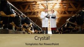  Presentation with coats - Slide set featuring agriculture - full length portrait of two background and a coral colored foreground