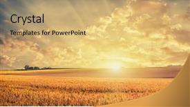  Presentation with agriculture field - Beautiful PPT layouts featuring agriculture - golden wheat field backdrop and a yellow colored foreground