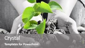  Presentation with agriculture - PPT layouts featuring agriculture - green plant in the hand background and a gray colored foreground