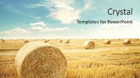  Presentation with roll - Audience pleasing PPT theme consisting of agriculture - hay-roll on meadow against sunset backdrop and a soft green colored foreground