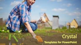  Presentation with seed - Beautiful PPT theme featuring agriculture - image of female farmer sowing backdrop and a tawny brown colored foreground
