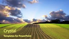  Presentation with agriculture - Amazing PPT layouts having tea on vintage rice paper backdrop and a  colored foreground.