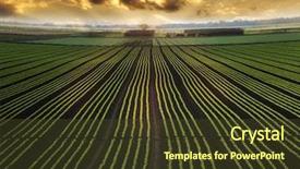  Presentation with agriculture field - Presentation design enhanced with agriculture - landscape with field and beautiful background and a tawny brown colored foreground
