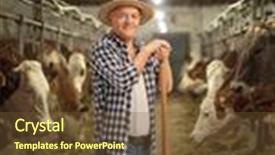  Presentation with farm - Audience pleasing PPT theme consisting of mature farmer posing backdrop and a tawny brown colored foreground