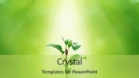  Presentation with agriculture - Audience pleasing PPT theme consisting of agriculture - new life backdrop and a yellow colored foreground