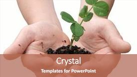  Presentation with plant - Audience pleasing presentation theme consisting of sustainable agriculture - small pea plant in child's backdrop and a coral colored foreground