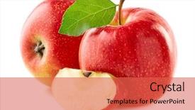  Presentation with agriculture - PPT layouts featuring agriculture - red apples with slice background and a red colored foreground