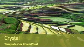  Presentation with rice fields - Presentation theme with agriculture - rice fields of madagascar background and a tawny brown colored foreground