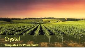  Presentation with vineyard - Amazing PPT layouts having agriculture - vineyard in south australia backdrop and a tawny brown colored foreground