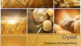  Presentation with harvest - Audience pleasing slides consisting of agriculture - wheat harvest concepts cereal collage backdrop and a gold colored foreground