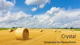  Presentation with hay field - Audience pleasing slide set consisting of agriculture - yellow golden straw bales backdrop and a yellow colored foreground