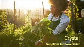  Presentation with agriculture african - PPT theme with agriculture - young african american millennial woman background and a tawny brown colored foreground