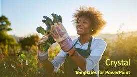  Presentation with agriculture african - Slides consisting of agriculture - young african american woman inpsecting background and a tawny brown colored foreground