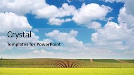  Presentation with agriculture - Amazing slide deck having agriculture and vineyard meadow composition of nature backdrop and a light blue colored foreground