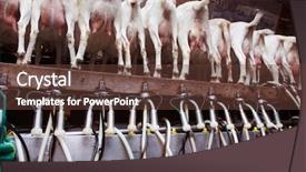  Presentation with farm equipment - Audience pleasing theme consisting of agriculture automation - goats standing in a row backdrop and a tawny brown colored foreground