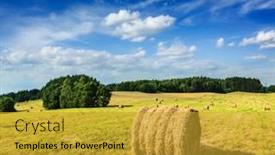  Presentation with hay field - 