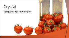  Presentation with agriculture - Beautiful presentation design featuring agriculture backgrounds - fresh tomatoes in a wooden backdrop and a white colored foreground