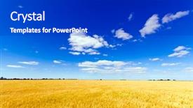  Presentation with crop - Presentation enhanced with agriculture backgrounds - golden colorful crop meadow background and a royal blue colored foreground