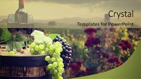  Presentation with bottle red wine - Slides enhanced with agriculture backgrounds - red wine bottle and wine background and a coral colored foreground