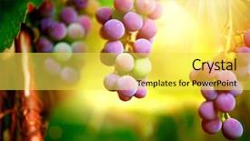  Presentation with purple green - Colorful PPT theme enhanced with french vanilla cake wtih srawberry compote pistachio mousse and crunchy layer backdrop and a lemonade colored foreground