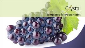  Presentation with agriculture - Beautiful presentation design featuring agriculture caisin - grapes with leaves backdrop and a  colored foreground